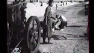 На полях Крыма, 1950 год / In Crimea fields, 1950