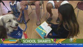 School Smarts: LA Public Library The Best Deal In Town