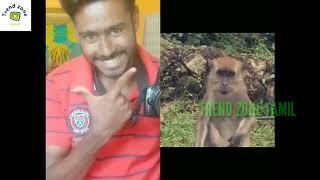 Animals funny video tamil part :3||100% laughing confirm||trend zone tamil