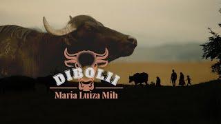 Dibolii - Maria Luiza Mih si Ceterasii din Maramures