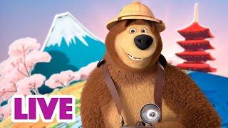  LIVE STREAM  Masha and the Bear ️ A postcard from vacation ️