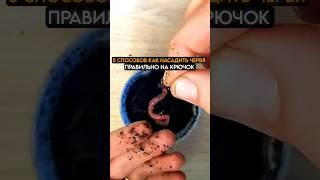 5 СПОСОБОВ КАК НАСАДИТЬ ЧЕРВЯ НА КРЮЧОК #рыбалка #крючок #нарыбалку