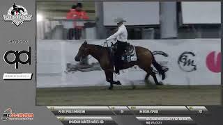 Futurity 2023 - PIETRO PAOLO AMBROSINI & BH DOUBLE SPOOK score 210,5