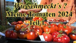 Meine Tomaten 2024 | Tomatenverkostung  2024 Teil 1