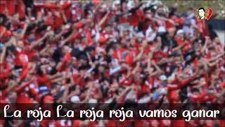 Ultras Fanatic Reds : All in  [ Live ]