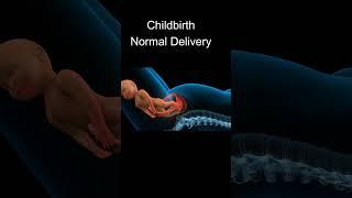 Childbirth / Normal Delivery / BabyBorn  / Dr Dipti Jain / Advance Hospital Ahmedabad/ YoutubeShorts