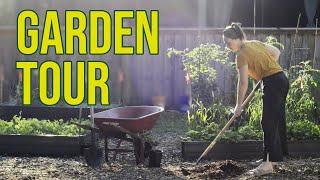 Garden Tour - Quarter Acre Food Forest 1 Year Update