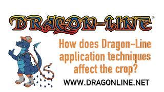 Keith Watson Talks about Dragon Line