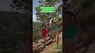 What is your favourite bushwalk in our Region? // Toowoomba Region