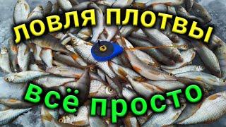 СУПЕР УЛОВ. Попал на РАЗДАЧУ. Как ловить МНОГО ПЛОТВЫ на мормышку. Рыбалка 2020.