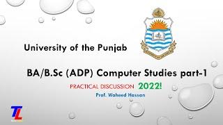 University of the Punjab Computer Studies 1 Practical exam | Visual Basic | PU past paper | B.A/B.Sc