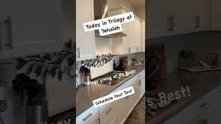 Today in Trilogy at Tehaleh ️- Schedule Your Tour of this Better Than New Venture  by Shea Homes