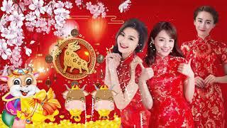 100首传统新年歌  2021新春賀歲！中國傳統喜慶新年音樂   The Best Chinese New Year Music Instrumental