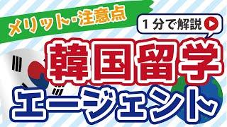 韓国留学エージェントのメリットと注意点を解説！