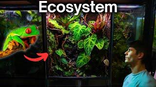 I Made a Jungle Terrarium For a Tiny Frog, Here’s How!