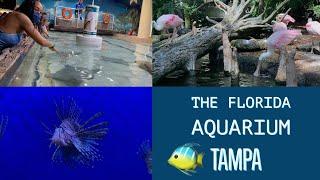 The Florida Aquarium | Tampa, FL