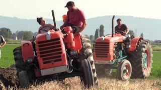 Old tractors plowing - FIAT, Fiatagri, Ford, New Holland & Same