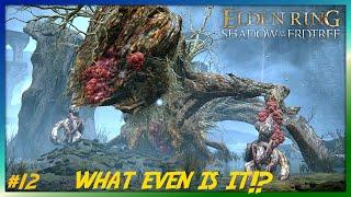 DRAIN THE WATER! & LESSER ULCERATED SPIRIT BOSS  - Shadow Of The Erdtree PART 12 - Elden Ring DLC