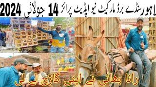 14 July 2024 پاکستان کی سب سے سستی مارکیٹ لاہور سنڈے برڈز مارکیٹ نیو اپڈیٹ#ranapets #birds 