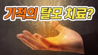 기적의 탈모치료제 개발은 어디까지?