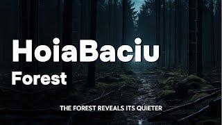 The Enigmatic Hoia Baciu Forest: Romania's Portal to the Paranormal