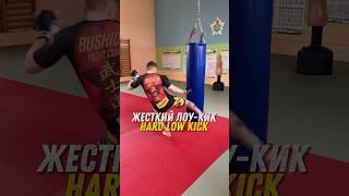 Лоу кик как рафаело вместо 1000 слов 