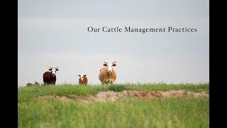 Cattle Management Practices