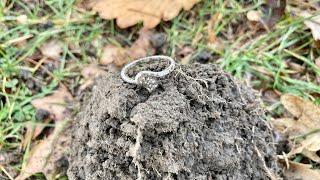 ‍️Metal Detecting NZ‍️ Park hunt with some cool finds and a little Sterling Silver surprise 