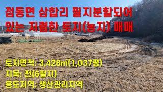 [여주부동산.토지급매] 점동면 삼합리 필지 분할 되어있는 저렴한 토지(농지) 매매[2억9천]