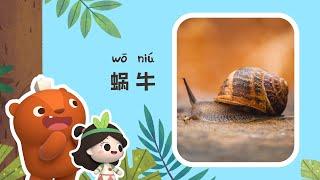 Early Learners | Hardworking Little Snail | Emmy&GooRoo Nature Class | Kids Cartoons [SUBS]