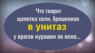 Бросьте это в унитаз и порча вернётся туда откуда пришла