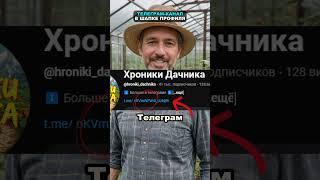 99% дачников неправильно вносят яичную скорлупу #огород #сад #дача #удобрение