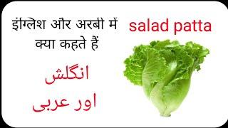 Salad patta ko Arabi mein kya kahate, salad patta ko Englis mein kya kahate Hain #arbic