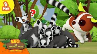  HEWAN-HAWA MADAGASKAR!  Lemur Ekor Cincin | Leo Si Penjaga Alam | Kartun Anak
