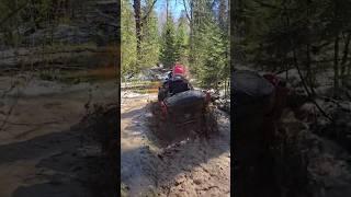 #квадроцикл #atv4x4 #brp #cfmoto #offroading #offroad #atvoffroad