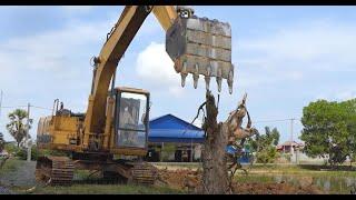 Amazing Excavator Unloading Dirt Mud and Tree ep04 #excavator #dumptruck