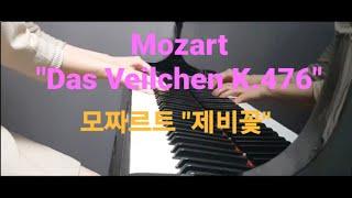 Mozart : Das Veilchen K.476