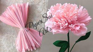 Giant Crepe Paper Peony flower for room decoration, Flores de papel crêpe Handmade @PaperSaiarts