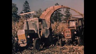 Agrokompleks Kętrzyn - Lato i jesień na polach - 1978