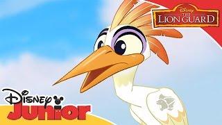 The Lion Guard: Unbunga-lieveable - Who's Mightier? | Official Disney Junior Africa