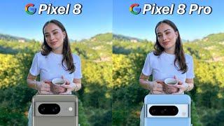 Google Pixel 8 VS Google Pixel 8 Pro Camera Test Comparison