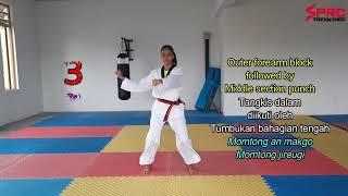 YELLOW 1 BELT - SPRC Taekwondo Virtual Basic Grading & Competition 2020 (test guide)