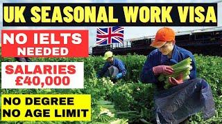 UK Seasonal Worker Visa 2023 New Rules: UK Work Permit Visa, No IELTS, No Degree, How To Apply: UKVI