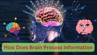 How Do Our Brains Process Information? The Science of Cognition (6 Minutes)