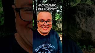 О ПРОДВИЖЕНИИ К ГИБЕЛИ / Саентология о жизни #саентология