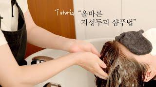 [차홍뷰티] 올바른 지성 두피 샴푸법 | Right way to wash an oily scalp