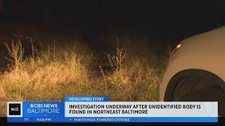 Baltimore Police: Dead body found in wooded area near Herring Run Park