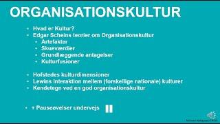 8.1 Organisationskultur