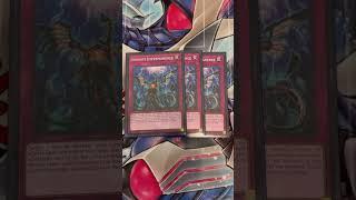 Budget Blue Eyes Deck Profile #yugioh #yugiohtcg #blueeyeswhitedragon