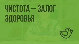 Чистота - залог здоровья. Видеоурок по окружающему миру 2  класс